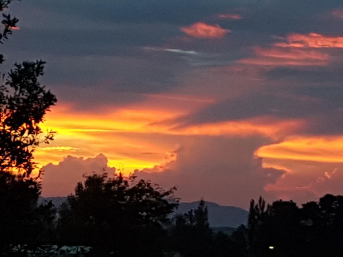 The Nunnery Hotel Te Aroha Buitenkant foto